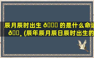 辰月辰时出生 🐅 的是什么命运 🕸 (辰年辰月辰日辰时出生的人运势)